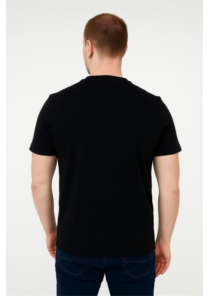 Bisiklet Yaka Tshirt Siyah Calvinklein fiyatları