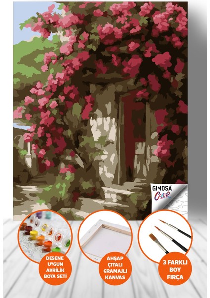 Color Begonvilli Taş Ev Sayılarla Boyama Seti - Yetişkin Boyama, 40X50 Tuval, Kendin Yap Hobi Seti