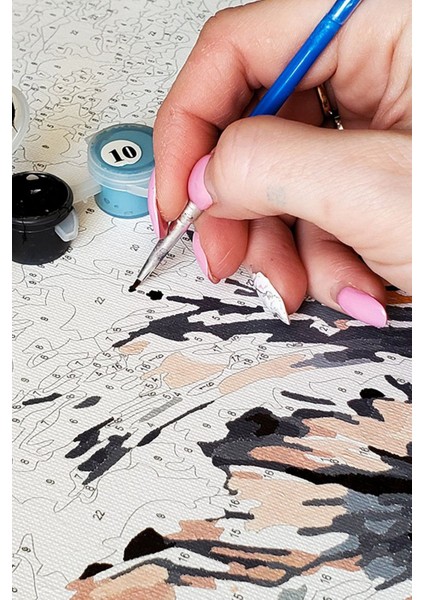 Color Çiçekli Pencere Sayılarla Boyama Seti - Yetişkin Boyama, 40X50 Tuval Set, Kendin Yap Hobi Seti