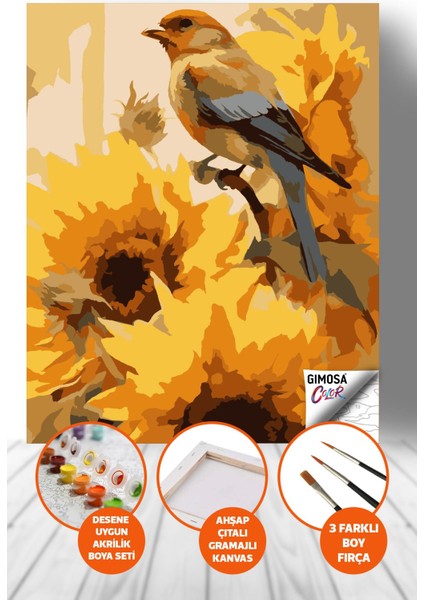 Color Ayçiçekleri Arasında Kuş Sayılarla Boyama Seti - Yetişkin Boyama, 40X50, Kendin Yap Hobi Seti