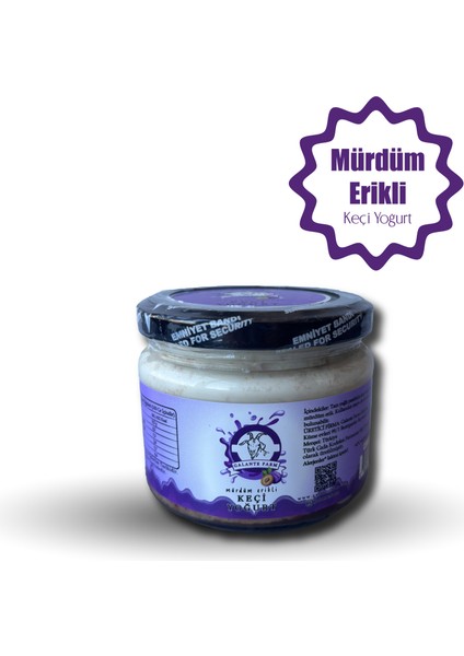 Mürdüm Erikli Yoğurt (300 Gr)