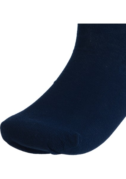 Erkek Yazlık Soket Çorap 4 Lü Pamuklu Kokulu ve Dikişsiz Topuk ve Burun Takviyeli Kaymaz indirimleri