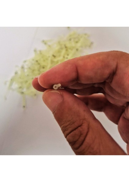 Silikon Balık Fosforlu Glow Luminous Karanlıkta Parlayan Yapay Yem 3.5 cm 10 Adet indirimleri