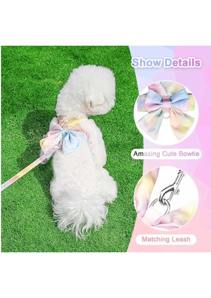 Küçük ve Orta Köpekler Için Tasma, Küçük Irk Tasma, Köpek Tasması