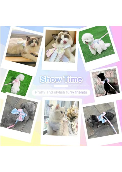 Küçük ve Orta Köpekler Için Tasma, Küçük Irk Tasma, Köpek Tasması fırsatları