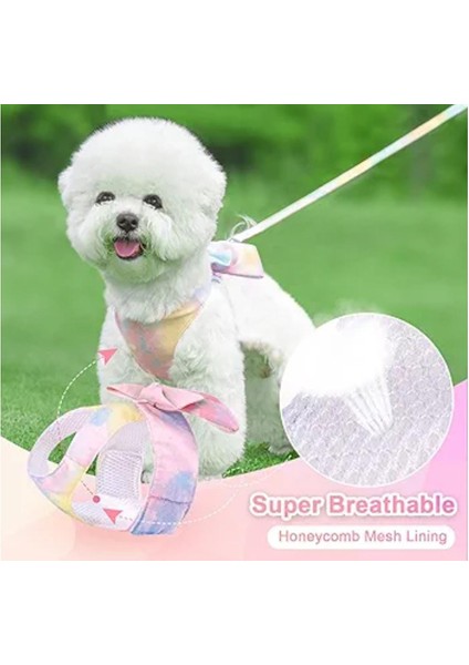 Küçük ve Orta Köpekler Için Tasma, Küçük Irk Tasma, Köpek Tasması indirimleri