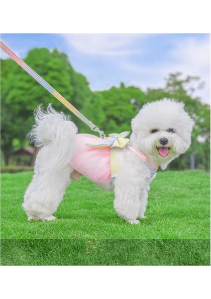 Küçük ve Orta Köpekler Için Tasma, Küçük Irk Tasma, Köpek Tasması