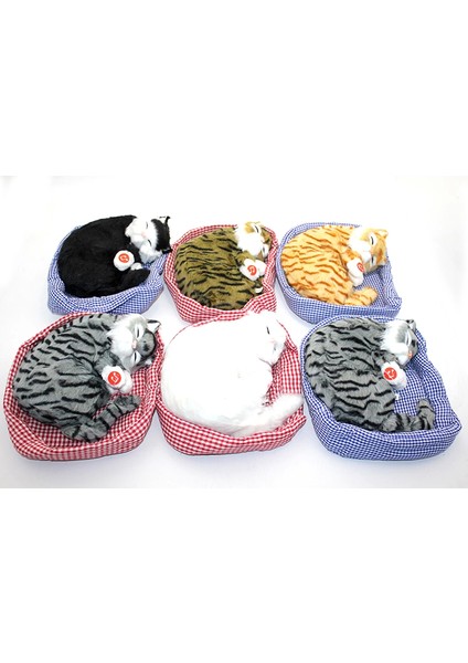 Horlayan Nesef Alıp Veren Yastıkda Uyuyan Kedi Sesli ALK3416 - FKU7575-9120