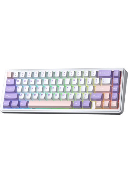 F65 Nimbus V3 Switch Mekanik Rgb Tkl Makrolu Hot Swap Kablosuz Klavye Pastel