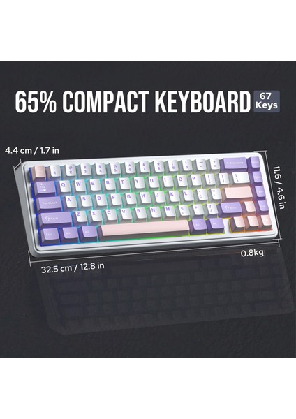 F65 Nimbus V3 Switch Mekanik Rgb Tkl Makrolu Hot Swap Kablosuz Klavye Pastel