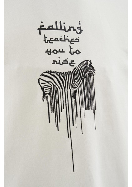 Erkek Printed And Zebra Oversize Uzay Grisi Tişört fiyatları
