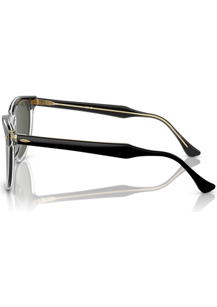 2398 129431 53 Kadın Güneş Gözlüğü fiyatları
