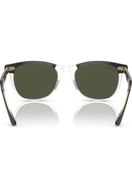 2398 129431 53 Kadın Güneş Gözlüğü modelleri