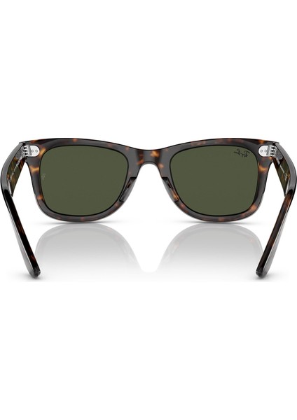 Rayban Güneş Gözlüğü RB2140 1359/31 modelleri