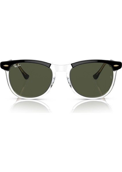 2398 129431 53 Kadın Güneş Gözlüğü indirimleri