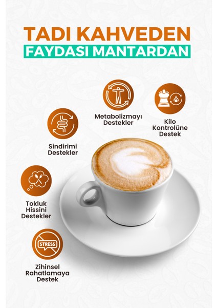 Reishi ve 4 Mantarlı Hindiba Kahvesi | Prebiyotik Inülin | Reformer Detoks & Diyet Desteği fiyatları