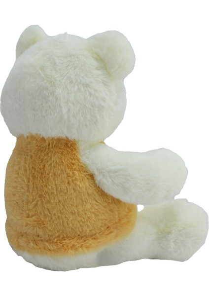 Tişörtlü Peluş Ayı 30 cm 62489 modelleri