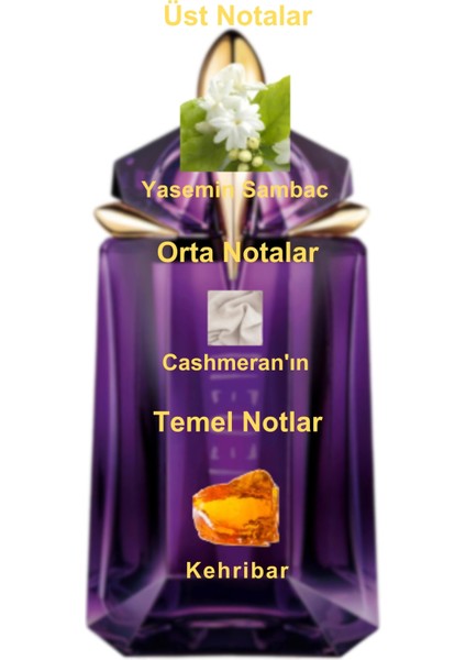 Dekant Mutfağı Alien Women Kadın 10ML Parfüm fiyatları