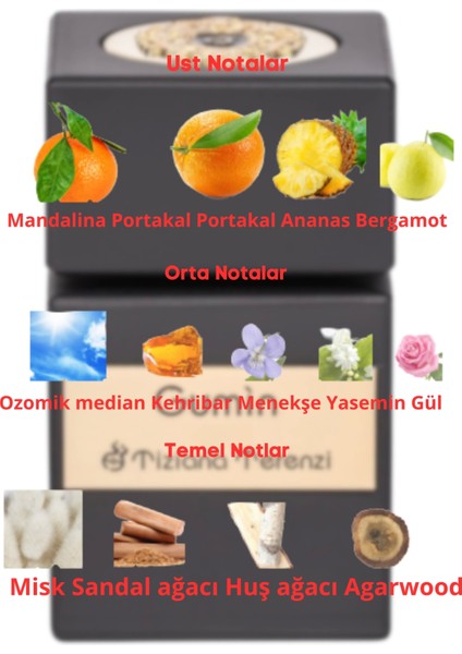 Dekant Mutfağı Gumin Unisex 10ML Parfüm fiyatları