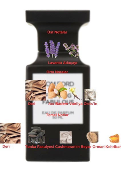 Dekant Mutfağı Fucking Fabulous Unisex 10ML Parfüm fiyatları