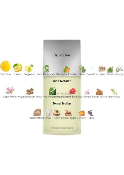 Dekant Mutfağı L' Eau D' Issey Erkek 10ML Parfüm fiyatları