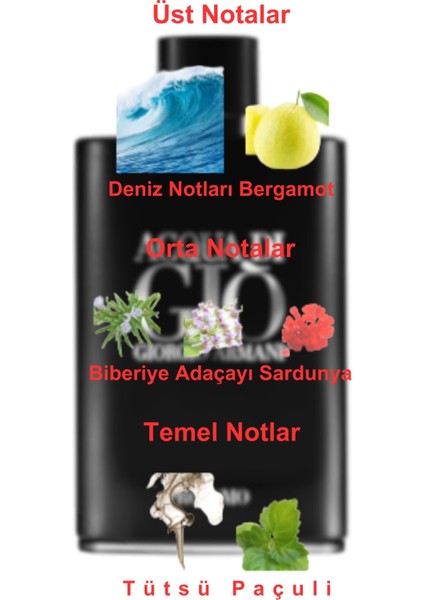 Dekant Mutfağı Acqua Di Gio Profumo Erkek 10ML Parfüm fiyatları