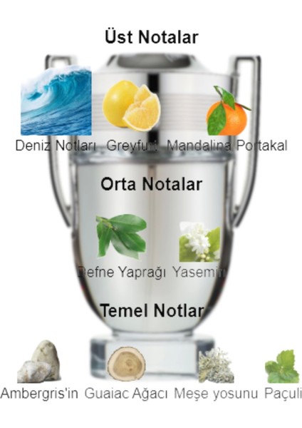 Dekant Mutfağı Invictus Erkek 10ML Parfüm fiyatları