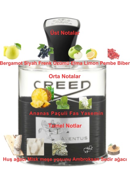 Dekant Mutfağı Aventus Erkek 10ML Parfüm fiyatları