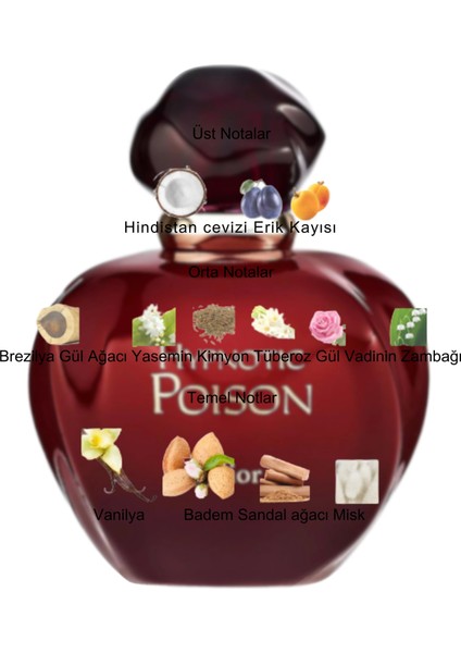 Dekant Mutfağı Hypnotic Poision Kadın 10ML Parfüm fiyatları