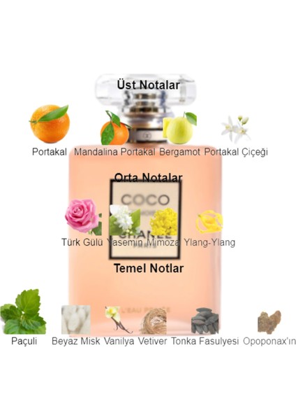 Dekant Mutfağı Coco Mademoiselle Kadın 10ML Parfüm fiyatları