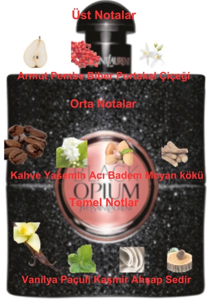 Dekant Mutfağı Black Opium Kadın 10ML Parfüm fiyatları