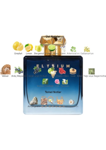 Dekant Mutfağı Elysium Pour Homme Erkek 10ML Parfüm fiyatları