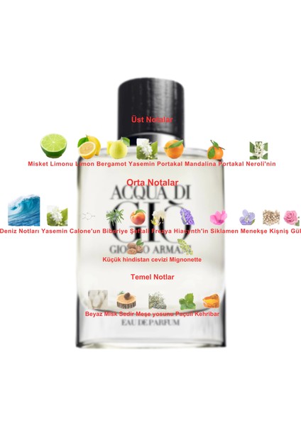 Dekant Mutfağı Acqua Di Gio Erkek 10ML Parfüm fiyatları