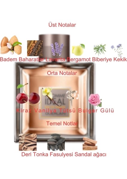 Dekant Mutfağı L'homme Ideal Erkek 10ML Parfüm fiyatları