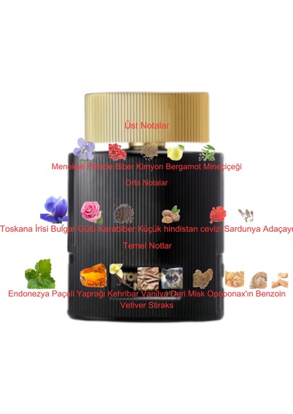 Dekant Mutfağı Noir De Noir Unisex 10ML Parfüm fiyatları