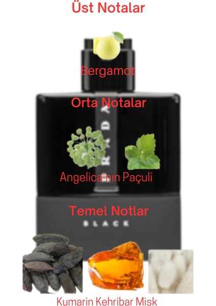 Dekant Mutfağı Luna Rossa Black Erkek 10ML Parfüm fiyatları