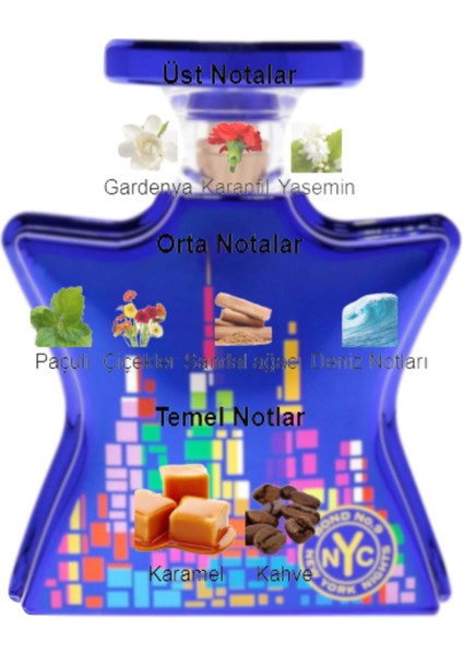 Dekant Mutfağı New York Nights Unisex 10ML Parfüm fiyatları
