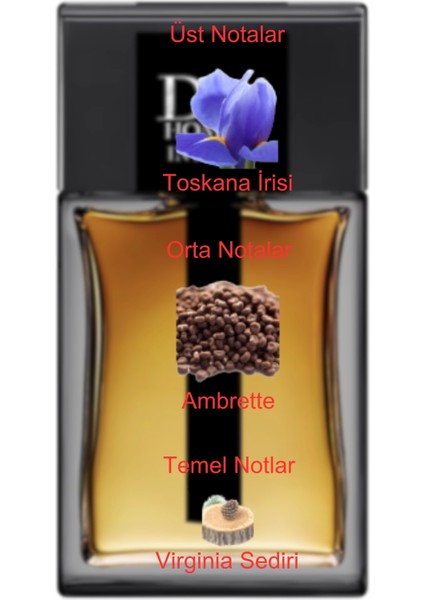 Dekant Mutfağı Homme Intense Erkek 10ML Parfüm fiyatları