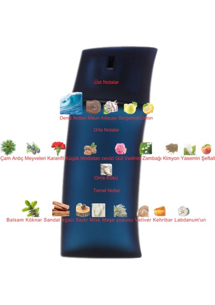 Dekant Mutfağı Kenzo Pour Homme Erkek 10ML Parfüm fiyatları