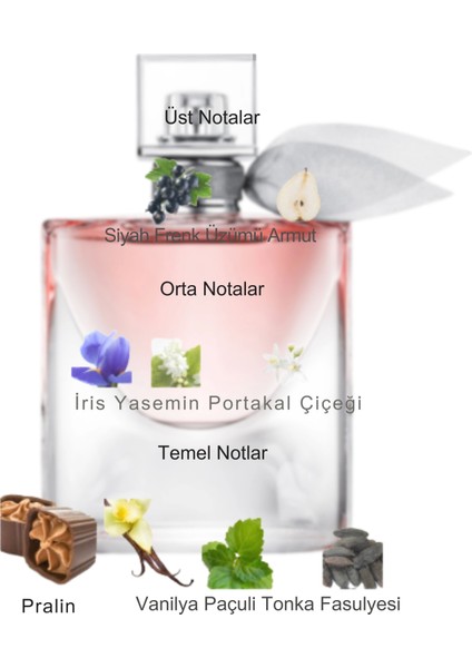 Dekant Mutfağı La Vie Est Belle Kadın 10ML Parfüm fiyatları
