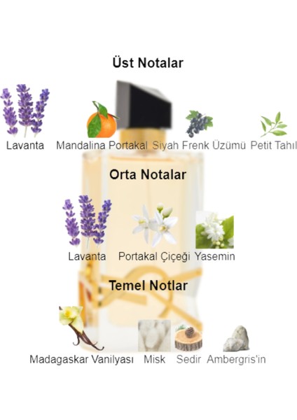 Dekant Mutfağı Libre Kadın 10ML Parfüm fiyatları