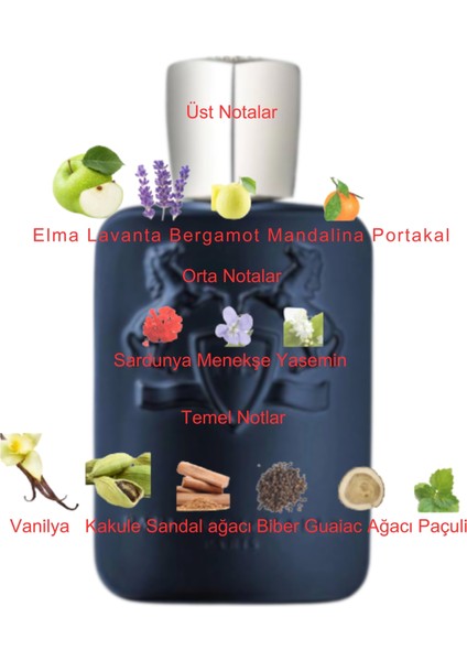 Dekant Mutfağı Layton Unisex 10ML Parfüm fiyatları