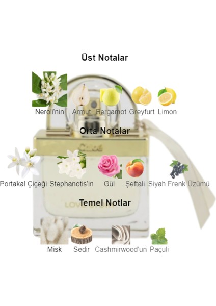 Dekant Mutfağı Love Story Kadın 10ML Parfüm fiyatları