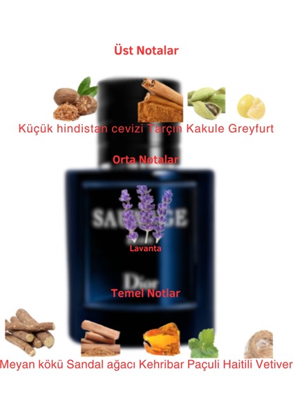 Dekant Mutfağı Sauvage Elixir Erkek 10ML Parfüm fiyatları