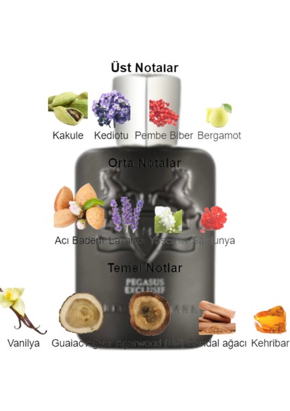 Dekant Mutfağı Pegasus Exclusif Erkek 10ML Parfüm fiyatları