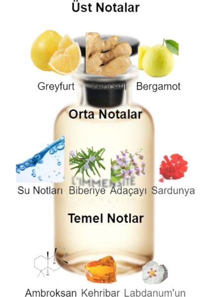 Dekant Mutfağı L'immensite Erkek 10ML Parfüm fiyatları