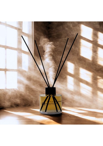 AURéA (ALTIN AURA) REED DİFFUSER ODA KOKUSU fiyatları