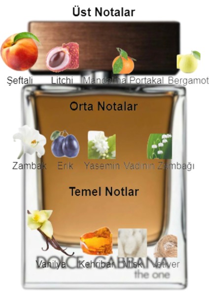 Dekant Mutfağı The One Erkek 10ML Parfüm fiyatları