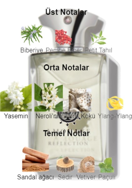 Dekant Mutfağı Reflection Erkek 10ML Parfüm fiyatları