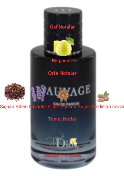 Dekant Mutfağı Sauvage Eau De Parfum Erkek 10ML Parfüm fiyatları